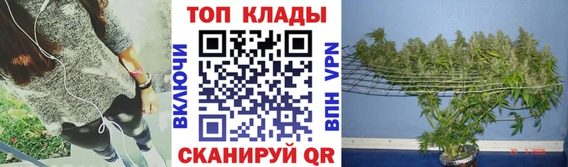 Продажа наркотиков Сясьстрой КОКАИН гидра ССЫЛКА A PVP МАРИХУАНА Меф мяу мяу