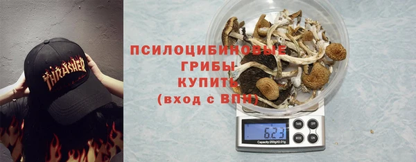прущий лед Арсеньев