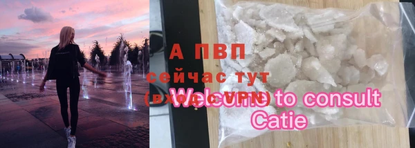 2c-b Пестово