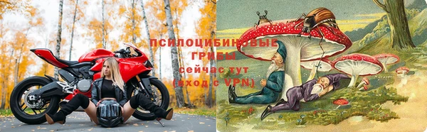 прущие крисы Армянск