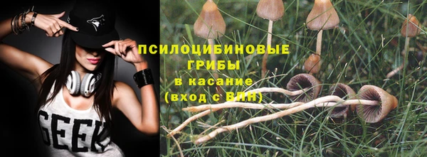 синтетический гашиш Алексеевка