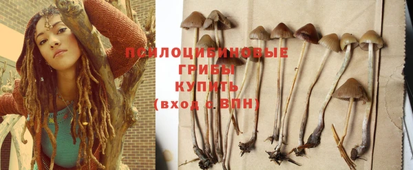 прущий лед Арсеньев