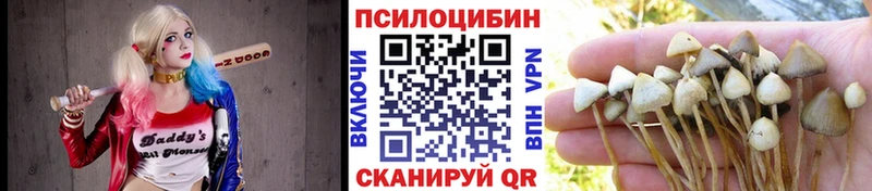 где продают наркотики Сясьстрой Псилоцибиновые грибы GOLDEN TEACHER